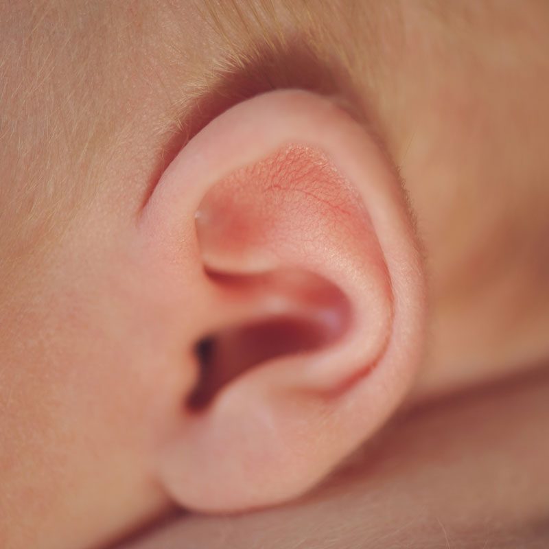 Newborn-Ear